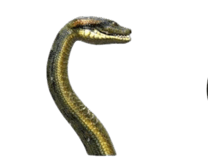 Snake